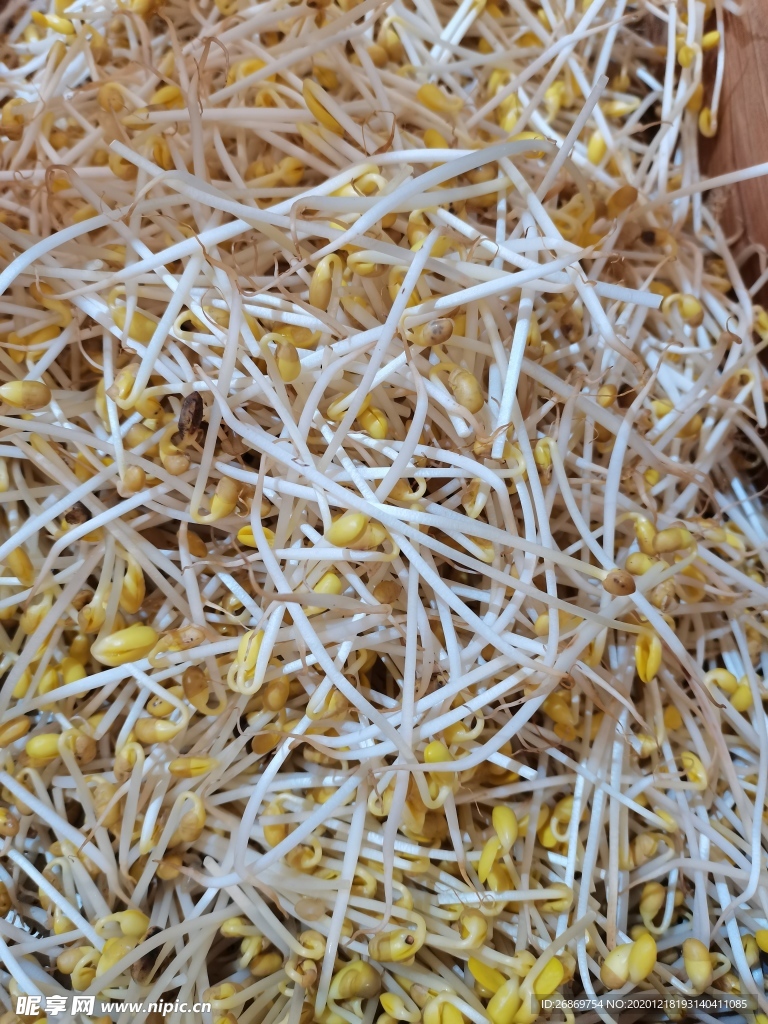 黄豆芽