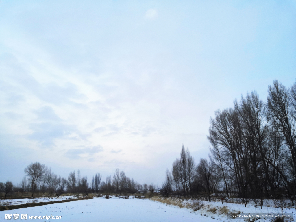 雪景