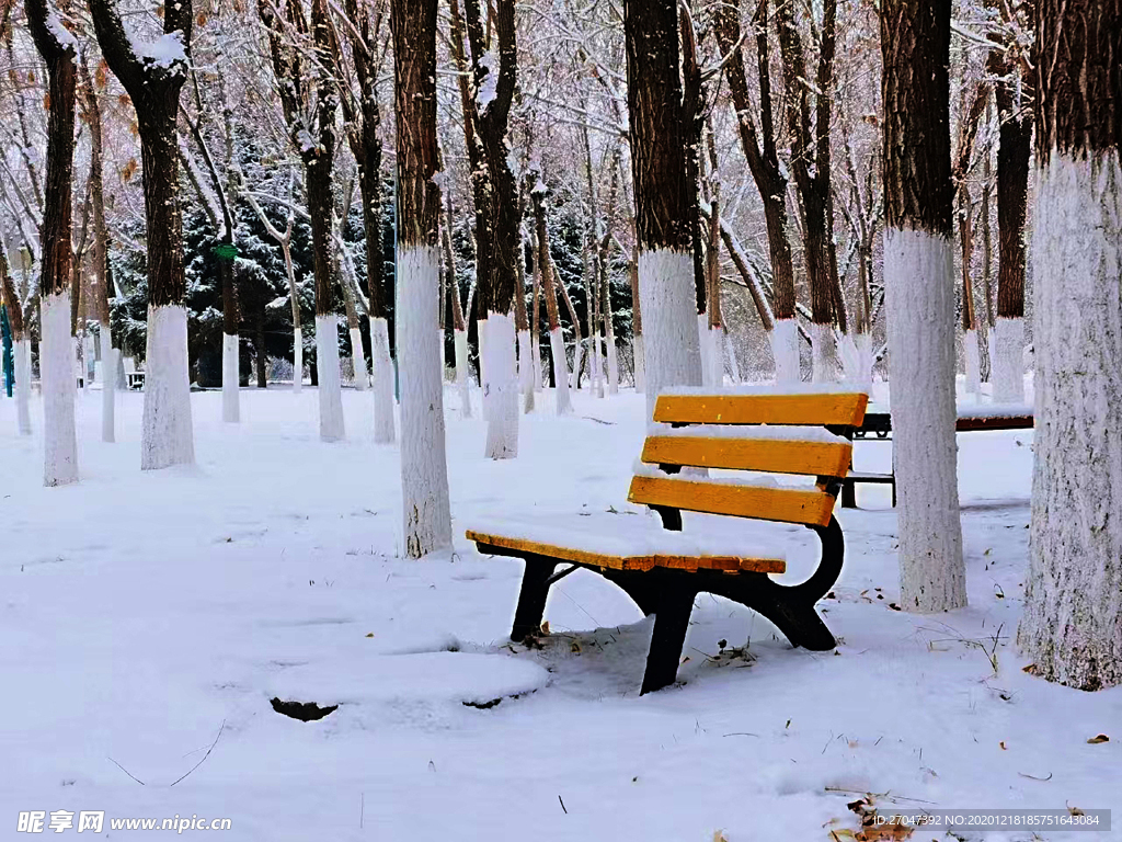 雪景