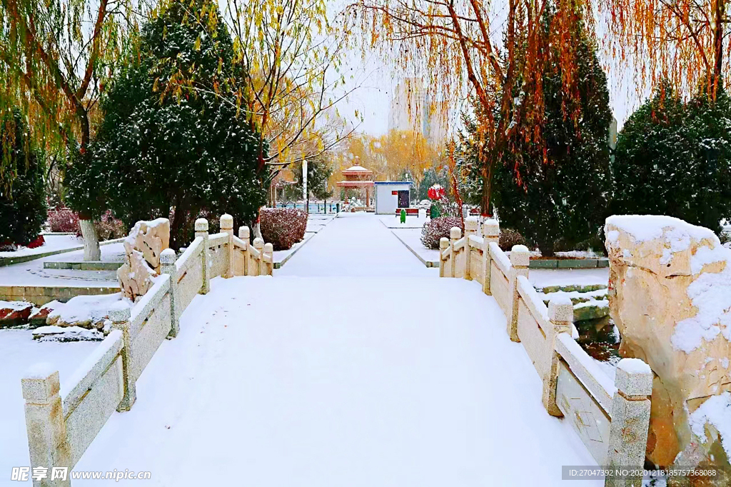 雪景