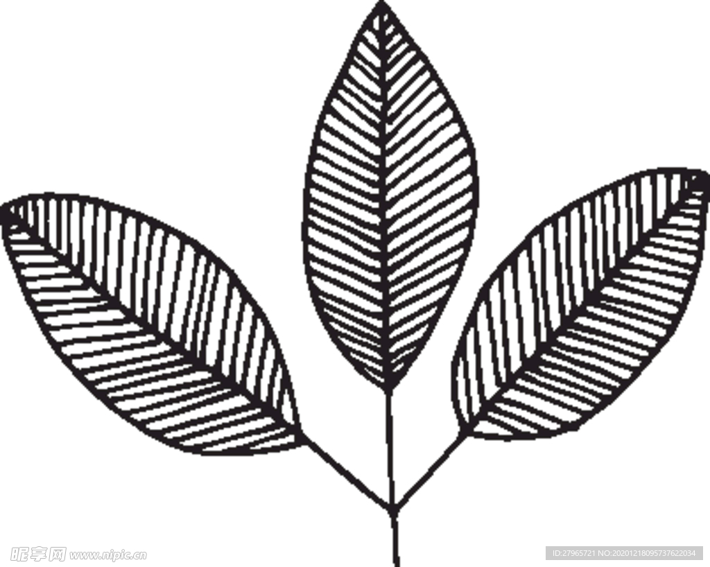 森系手绘花枝