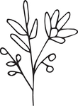 森系手绘花枝
