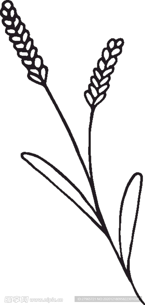 森系手绘花枝
