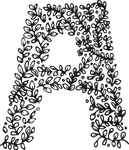 花纹字母