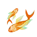 国潮插画鱼元素