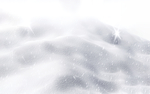 雪地