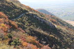山野小路