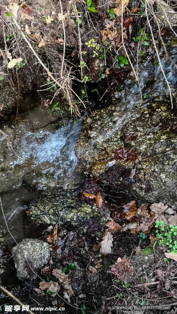 溪水