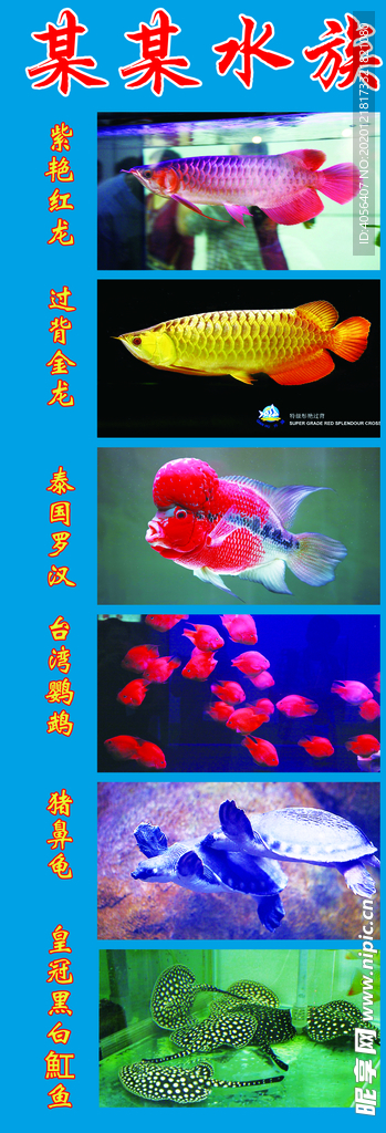 水族海报