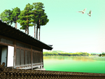 古代建筑白鸽背景