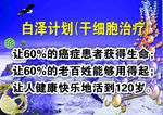 干细胞海报