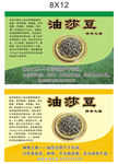 油莎豆