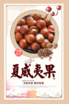 夏威夷果海报