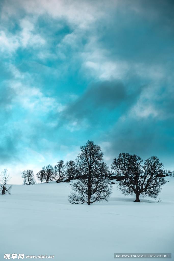 雪景