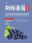 葡萄海报
