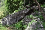风景