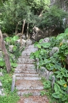 风景