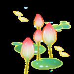 彩色荷花