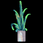 盆栽植物素材