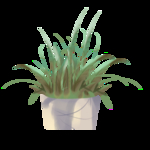 手绘植物元素