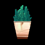 盆栽植物元素