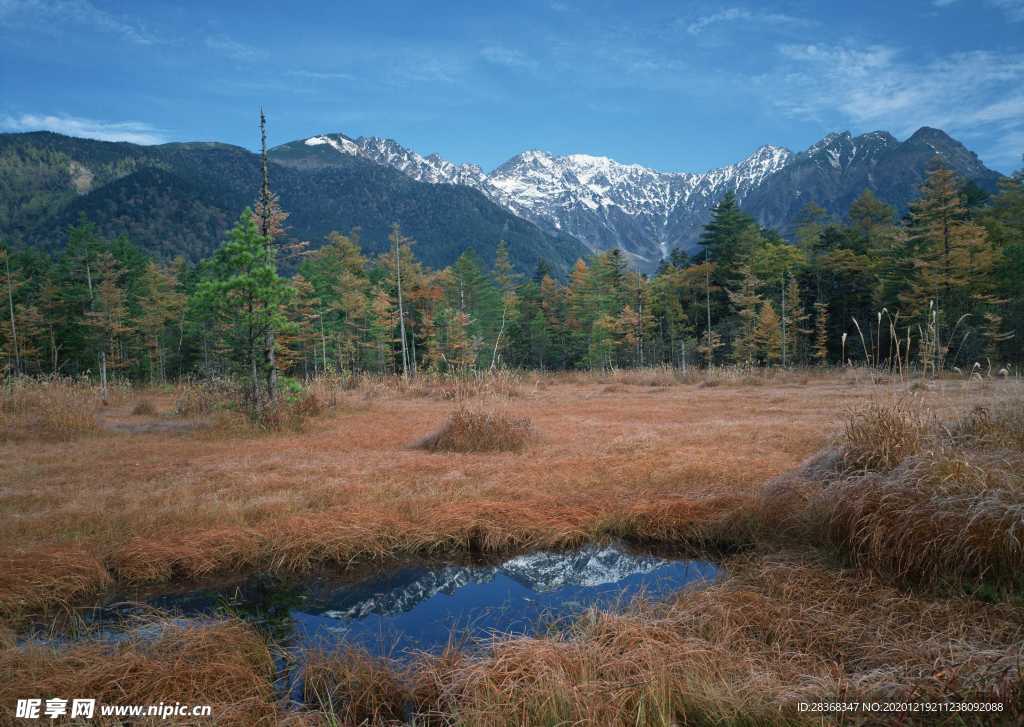 绿树山水