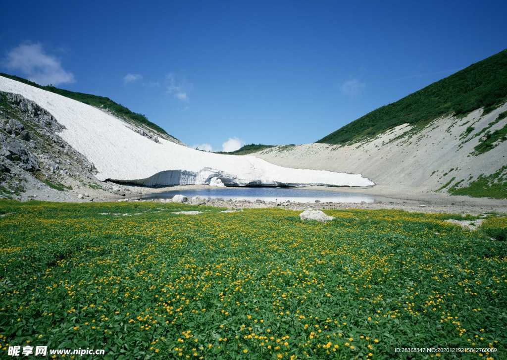 绿树山水