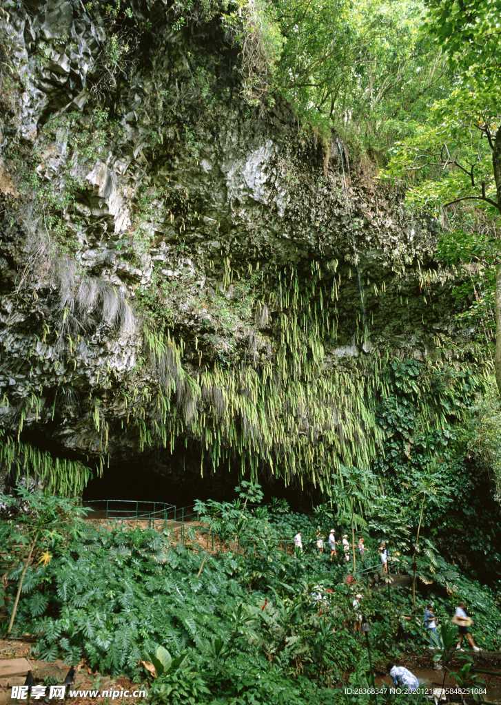 绿树山水