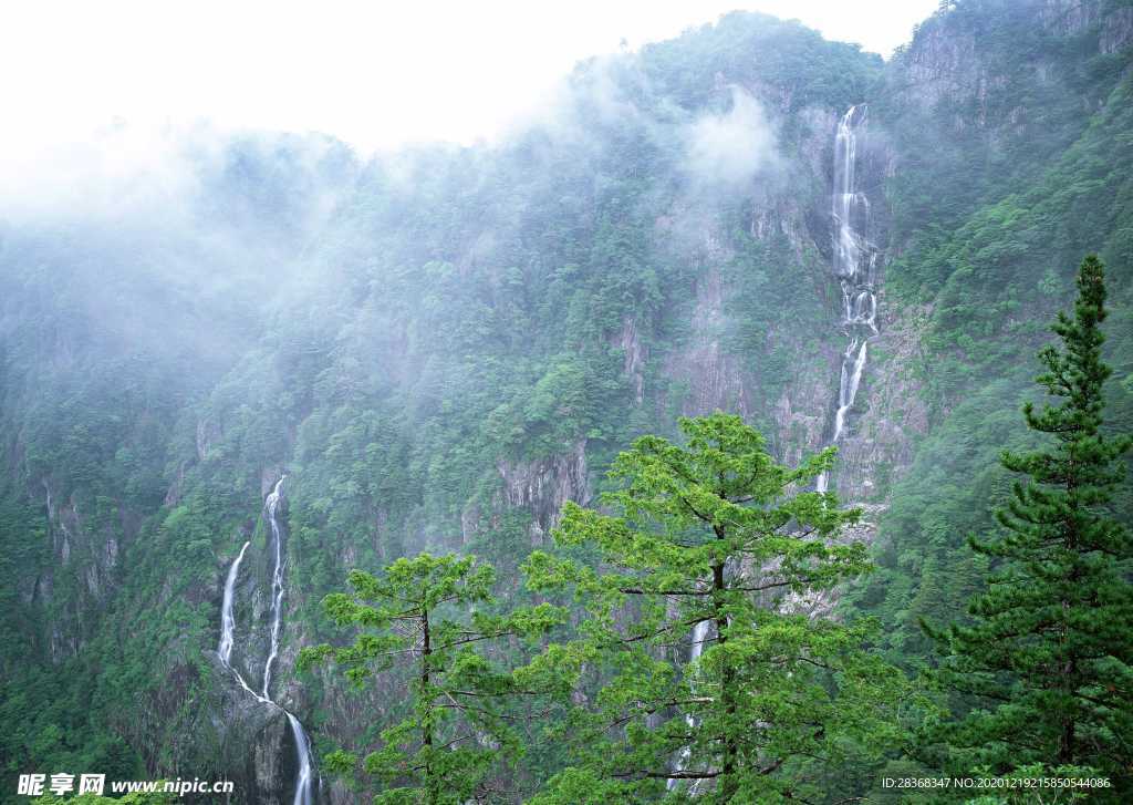 绿树山水
