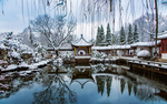 风景