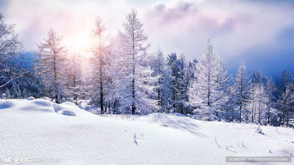 风景 雪景