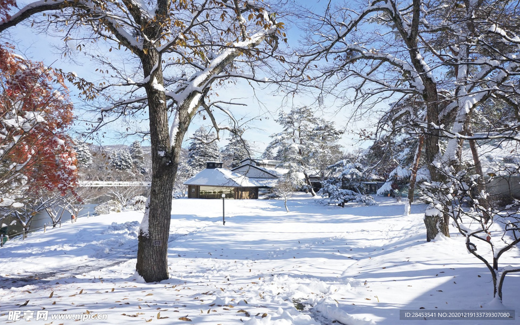 风景雪景