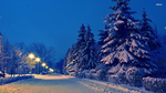 风景 雪景