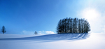 风景 雪景