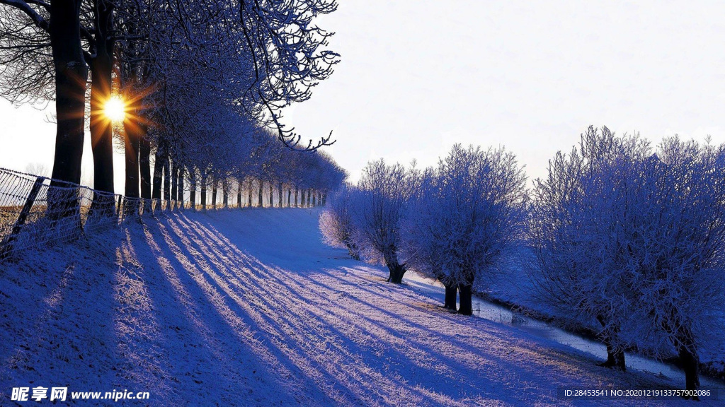 风景 雪景