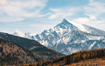 风景雪景