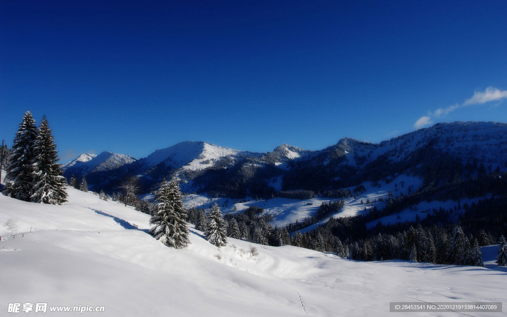 风景 雪景