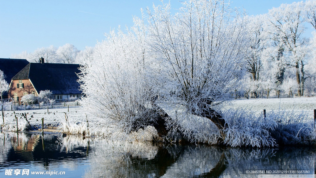 风景 雪景