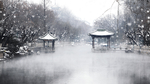 风景 雪景