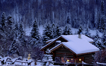 风景 雪景
