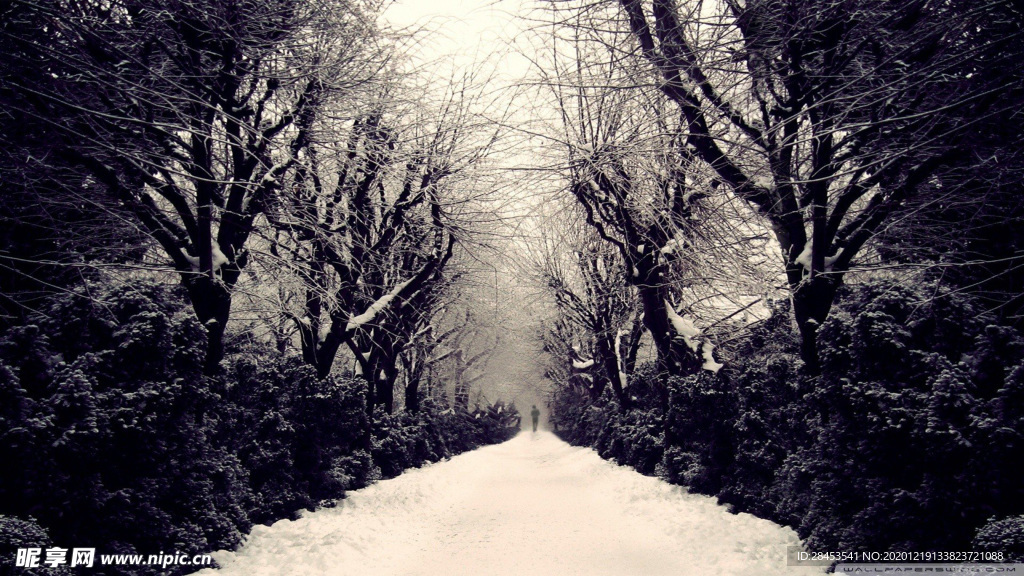 风景 雪景