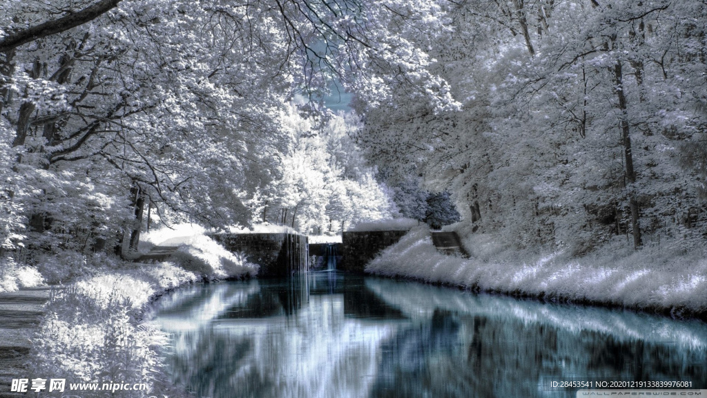 风景 雪景
