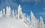风景 雪景