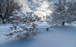风景 雪景