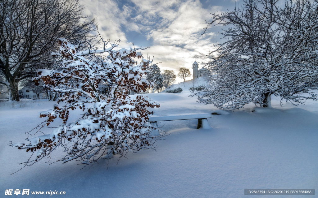 风景 雪景