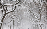 风景 雪景