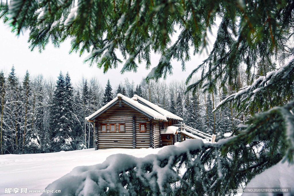 风景 雪景