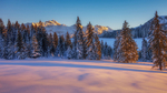 风景 雪景
