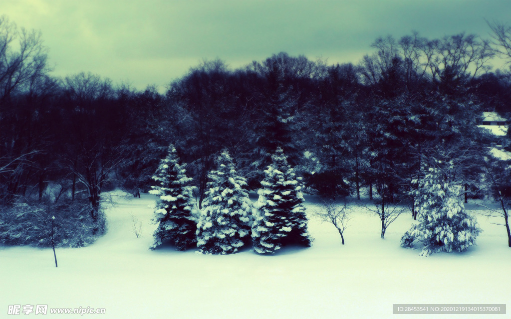 风景 雪景