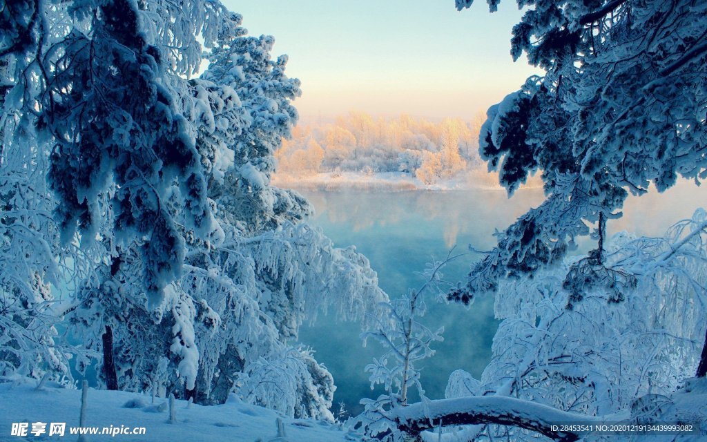 风景